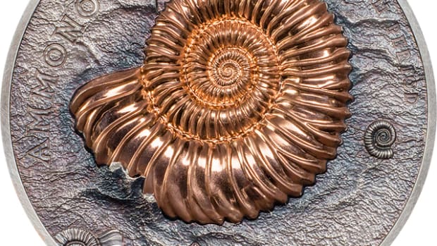 The silver coin of Mongolia’s new Evolution of Life series celebrate amazing ammonites in high-relief. The silver has an antiqued finish. Images courtesy Coin Invest Trust.