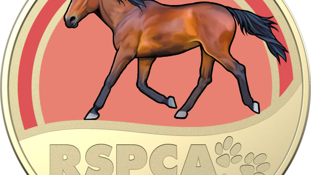 2021-$1-Coloured-Frosted-Uncirculated-RSPCA-Horse-Coin_REV