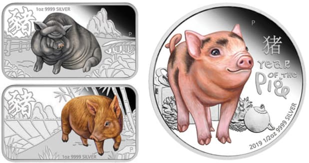 China 2019 5 x 20g Colorized Silver Bars Medals Lunar Year of the Pig 