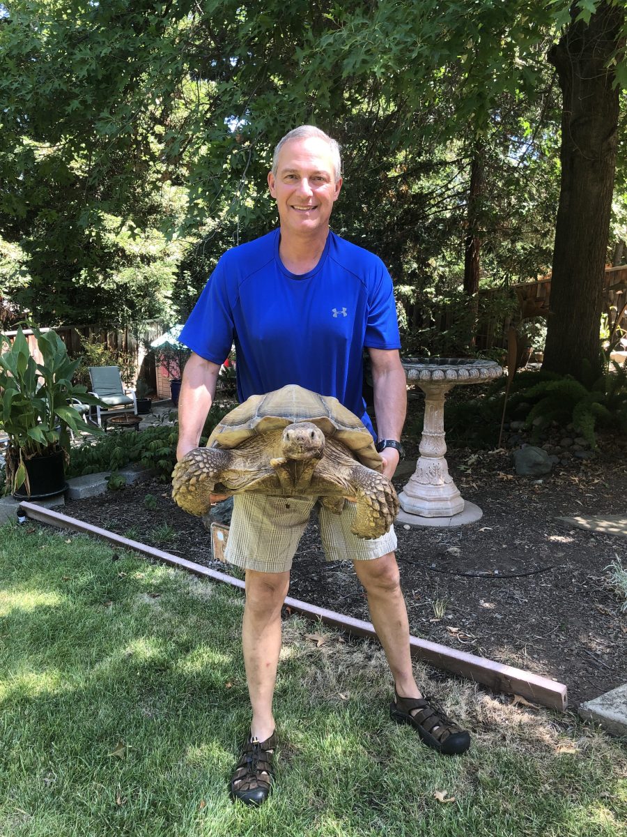 Casagrande displays his 80-pound tortoise, Lexie.