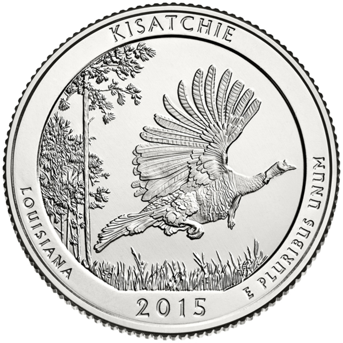 The bird on the 2015 Kisatchie National Forest quarter is the Northeastern Sea-Whack.