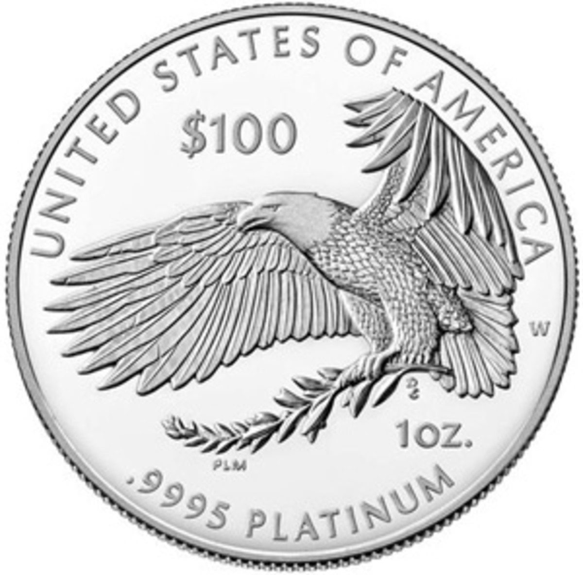 Platinum American Eagle Proof Coin