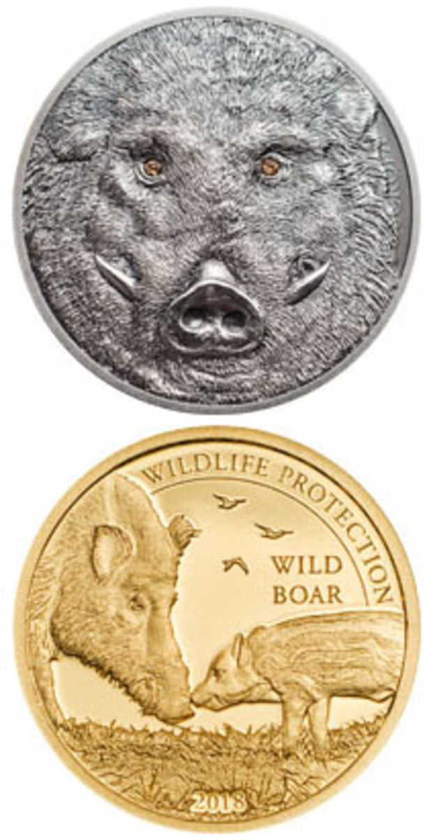  The reverses of this year’s Mongolian Wildlife Protection silver 500 togrog (top) and gold 1,000 togrog (bottom) feature the Wild Boar. (Images courtesy Coin Invest Trust, Lichtenstein)