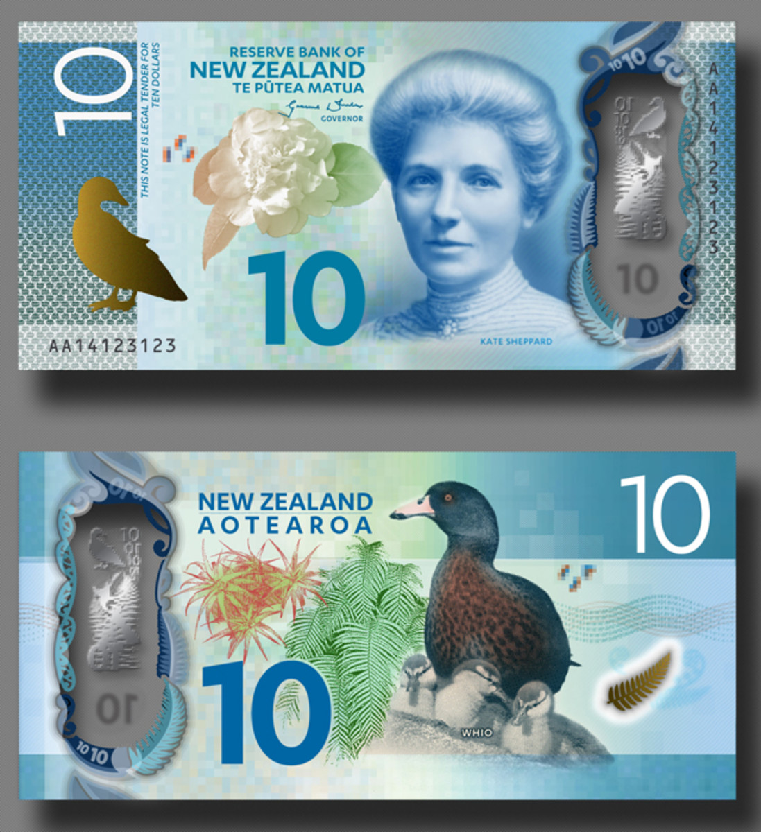 The New Zealand 10 dollar design (artist's depiction).