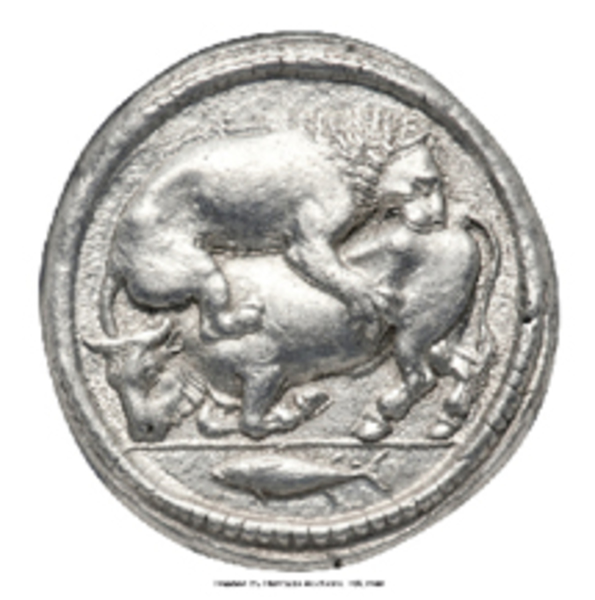  Top-selling ancient: choice Macedonian Acanthus silver tetradrachm that fetched $24,000 graded NGC Choice AU 5/5 - 4/5, Fine Style. (Image courtesy www.ha.com)