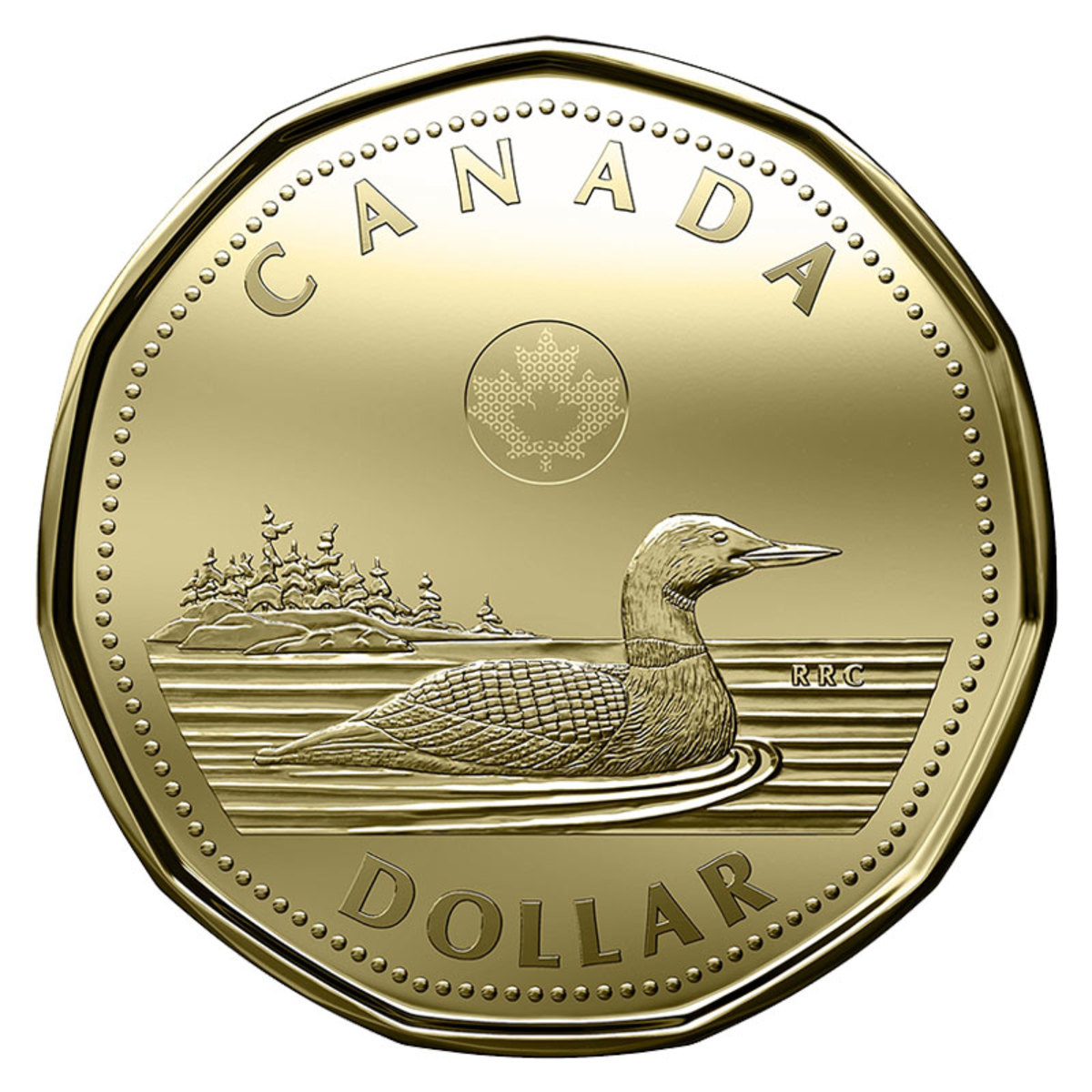 2019-canadian-1-dollar-common-loon-coin-1-800x800