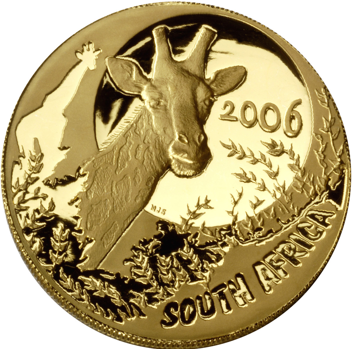 MDC award-winning 2006 giraffe coin from the Giants of Africa series.