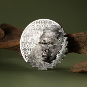 Discover The All New Releases Of The Cit Coin Invest Spring Launch 2025