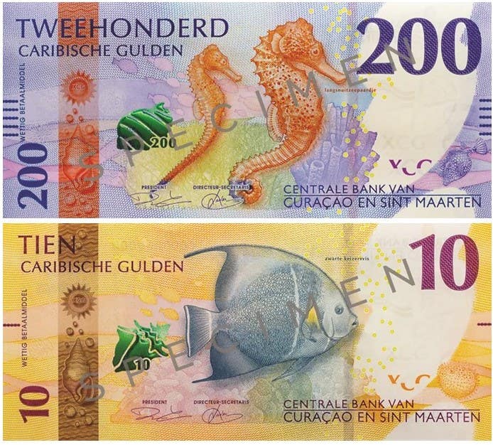 What’s New in Bank Notes