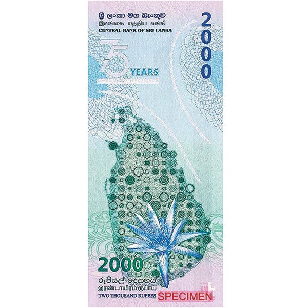 What’s New in Bank Notes - Numismatic News