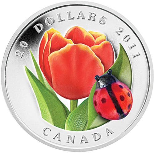 Starck Reality: Modern Coin Market Fluctuations Visible in Latest Updates