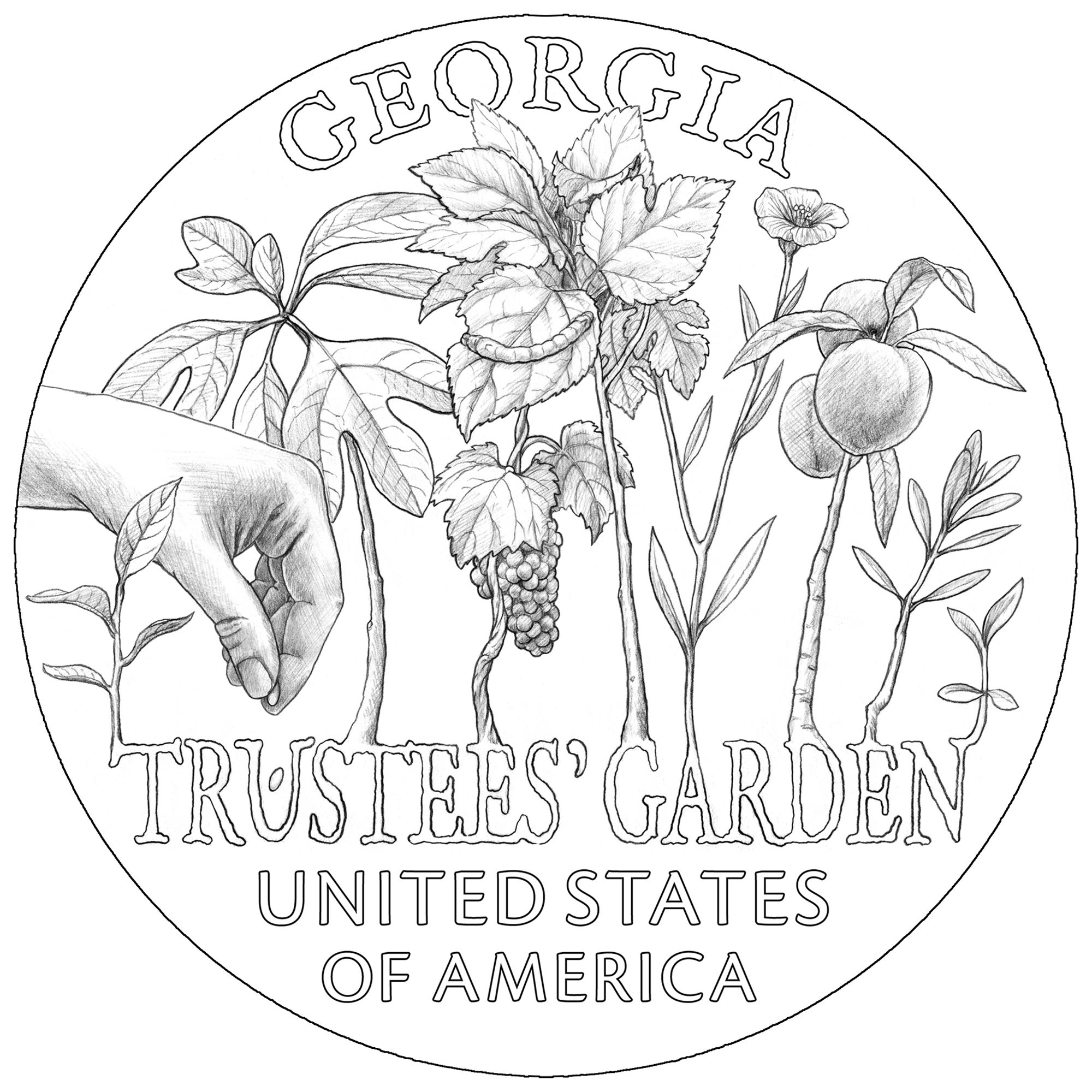 georgia.jpg