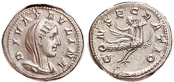 roman-3.jpg