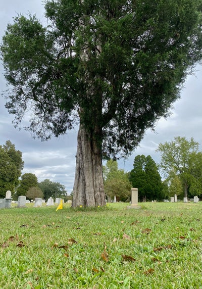 9-sg-grave.jpg