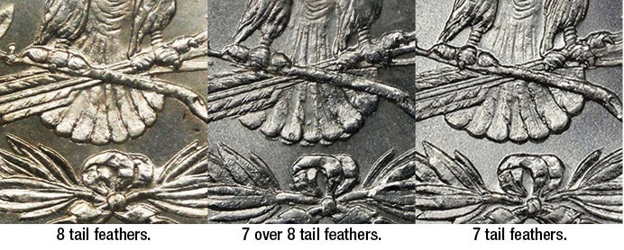 feathervarieties.jpg