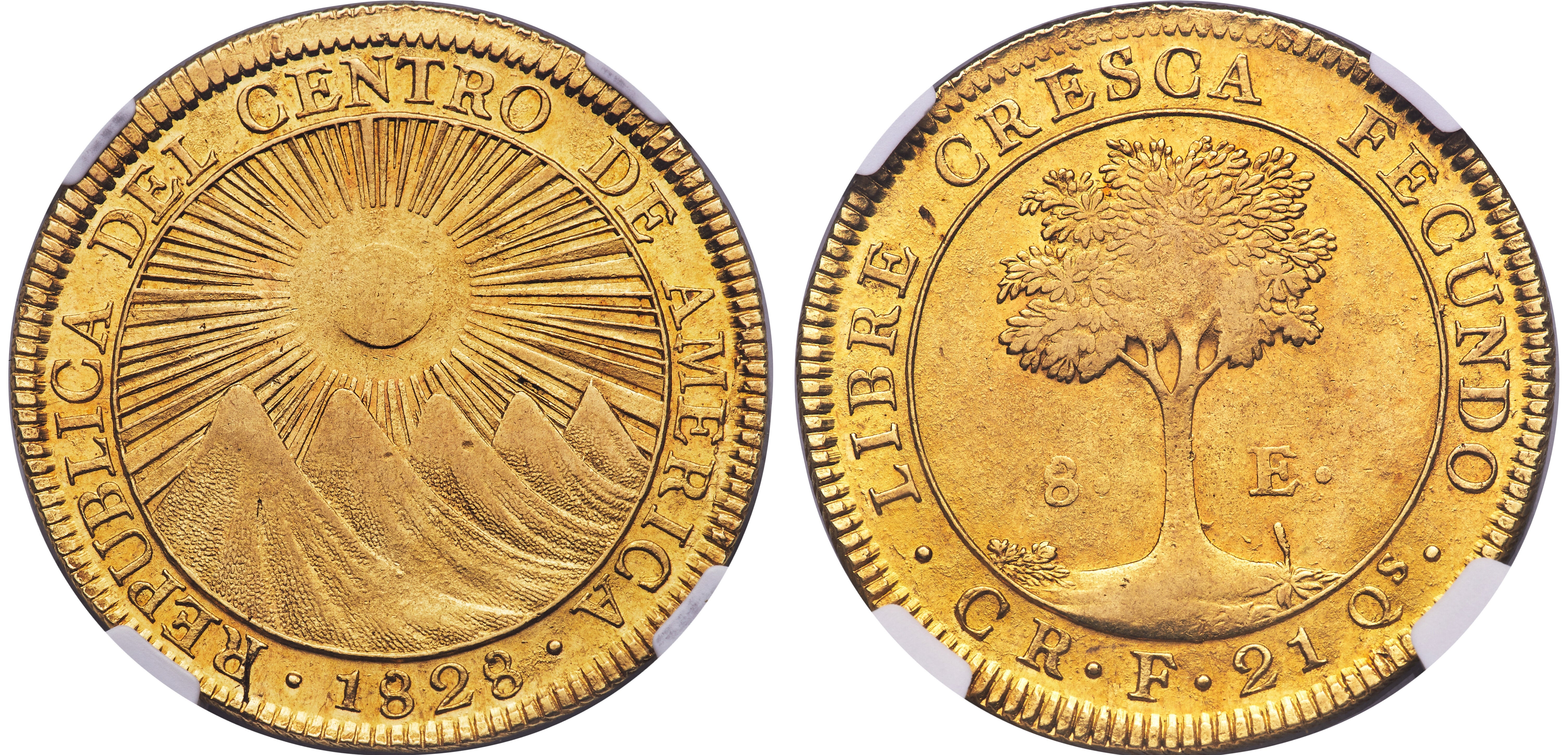car-gold-8-escudos-1828.jpg