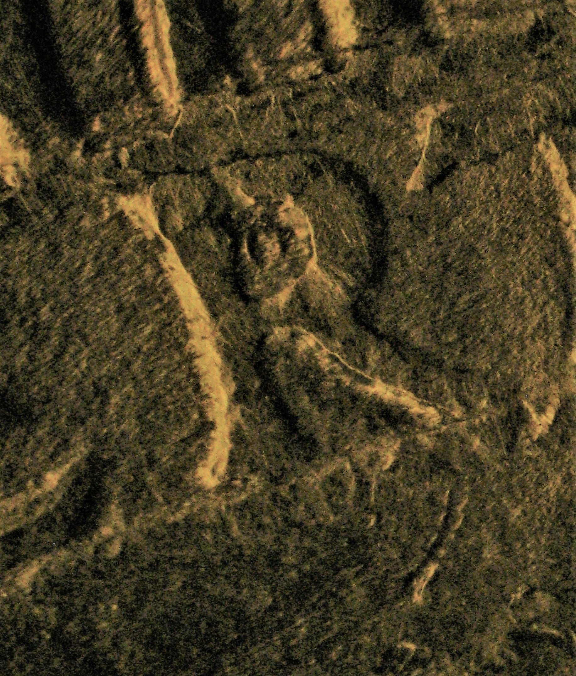 figure2.jpg