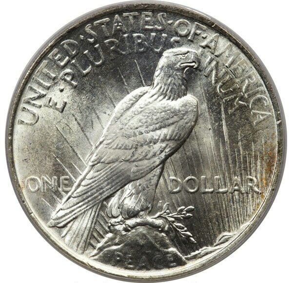no-100-2-peace-dollar-rev.jpg